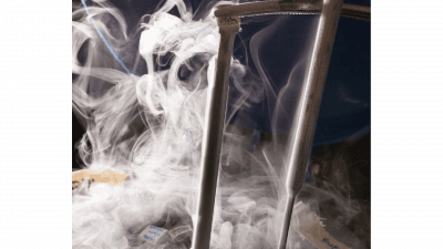 Congelação de embriões (Direct Transfer e Vitrificação)