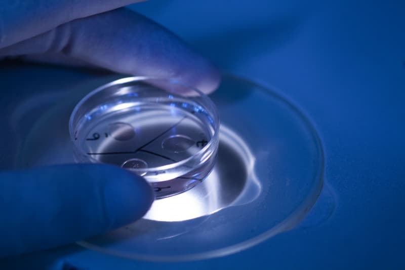 Produção e comercialização de meios para laboratórios