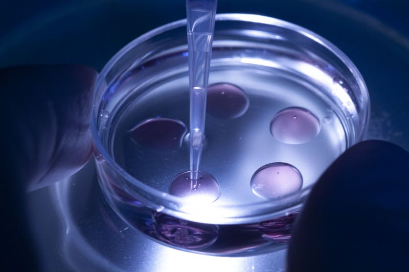Congelação de Embriões (DT – Vitrificação)