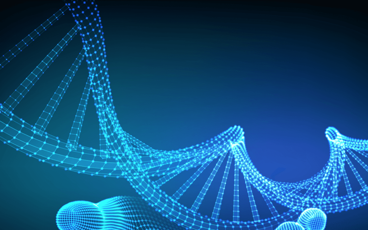 A Embryo em números