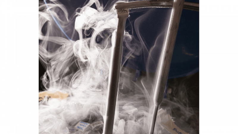 Congelação de embriões